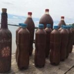 Buy Ayahuasca Tea Online US Canada Australia UK Germany