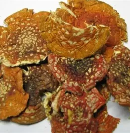 Buy Amanita Muscaria Mushroom Online.