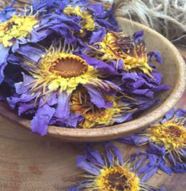 Buy Blue Lotus Flower Online