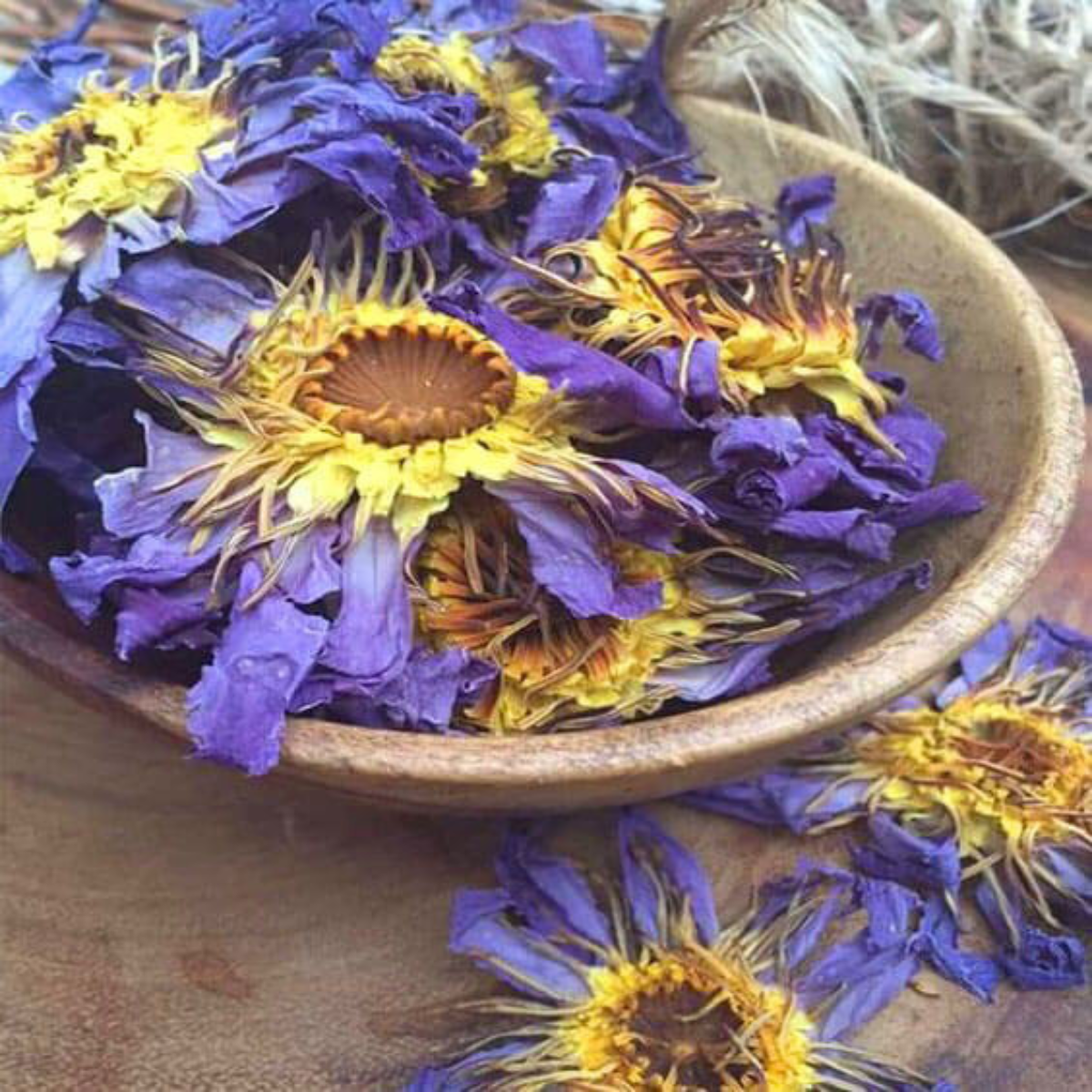 Buy Blue Lotus Flower Online