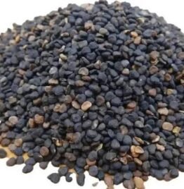 Buy Datura stramonium online